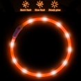 thumbnail image 2 of Collar para perros BEMS-LED - Collar iluminado recargable para mascotas, silicona, 2 of 5