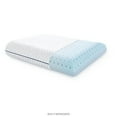 thumbnail image 1 of WEEKENDER Ventilated Gel Memory Foam Pillow - Washable Cover - King Size, 1 of 6