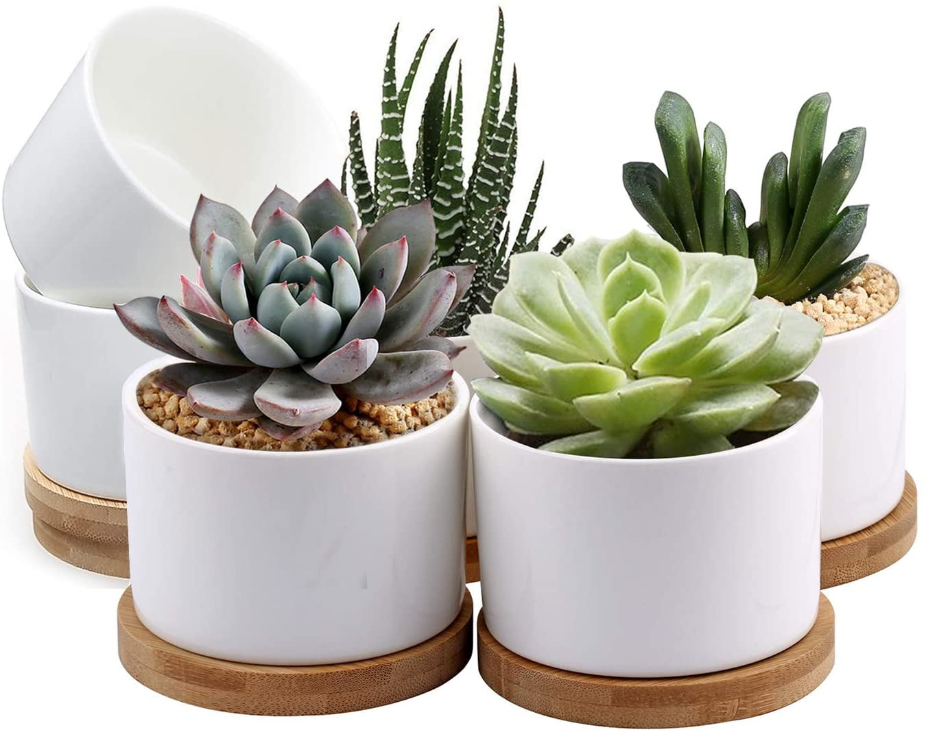 Succulent Pots,White Round Ceramic Succulent&Cactus Planters with Drainage Trays