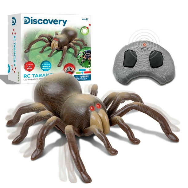 Discovery Kids RC Moving Tarantula Spider, Wireless Remote Control Toy