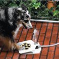 thumbnail image 4 of IKemiter Pet Dog Water Fountain Step on Paw Pedal Activated Drinking Water Dispenser Providing Constant Stream, 4 of 6