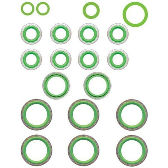 O-Ring & Gasket A/C System Seal Kit
