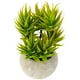 thumbnail image 1 of GOOHOCHY Plantas de olla verde artificial Plantas de simulación Bonsai Decoración de la casa interior, 1 of 7