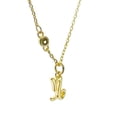 thumbnail image 2 of Collar con dije signo zodiaco Capricornio chapa de oro 18k ZVEZDA 45 cms, 2 of 4