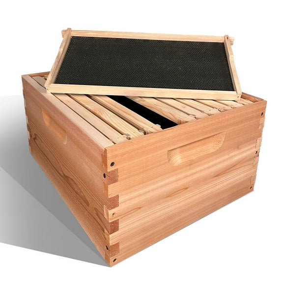 Cedar Deep Brood Box 10 Frame (Made in USA)