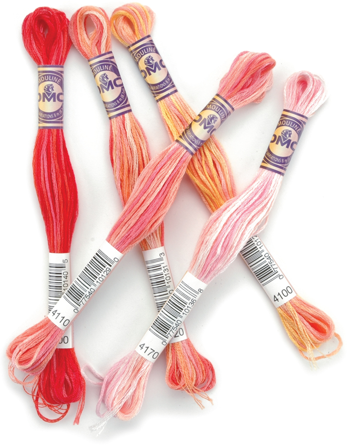 Dmc Color Variations Six Strand Embroidery Floss 8.7 Yards Sunrise 417F
