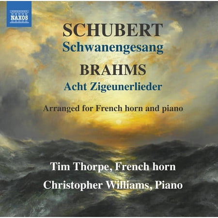 Brahms / Shubert - Schwanengesang - Music & Performance - CD