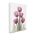 thumbnail image 4 of Stupell Industries Pink X-Ray Tulips Botanical & Floral Photography Gallery Wrapped Canvas Print Wall Art, 30 x 40, 4 of 8