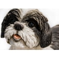 thumbnail image 4 of Hi- Line Gift 87797-BK Shih Tzu Lying Down Black/White Statue, 4 of 8