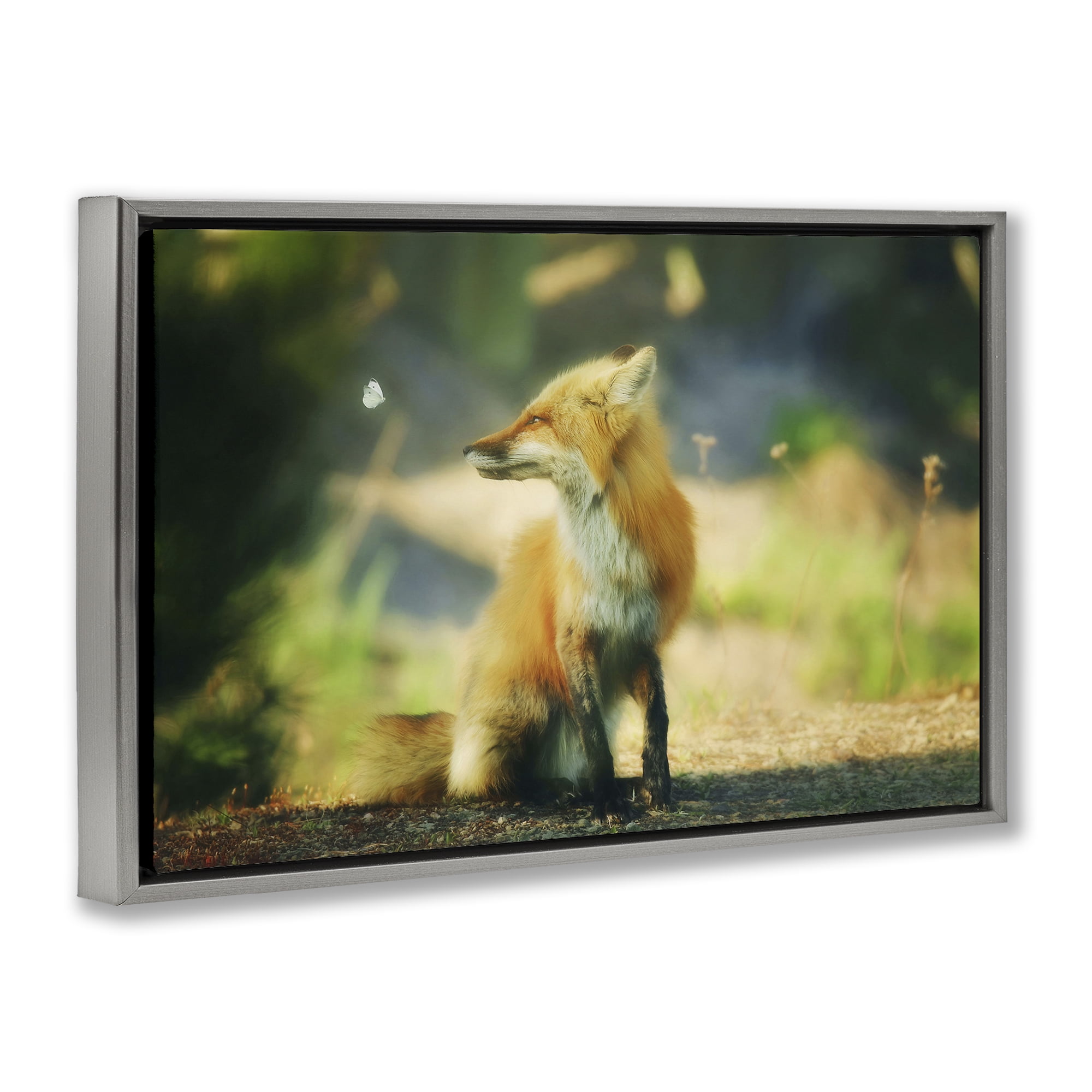 Stupell Industries Fox Kit & Butterfly Animals & Insects Photography Gray Floater Framed Canvas Art Print Wall Art, 25 x 17