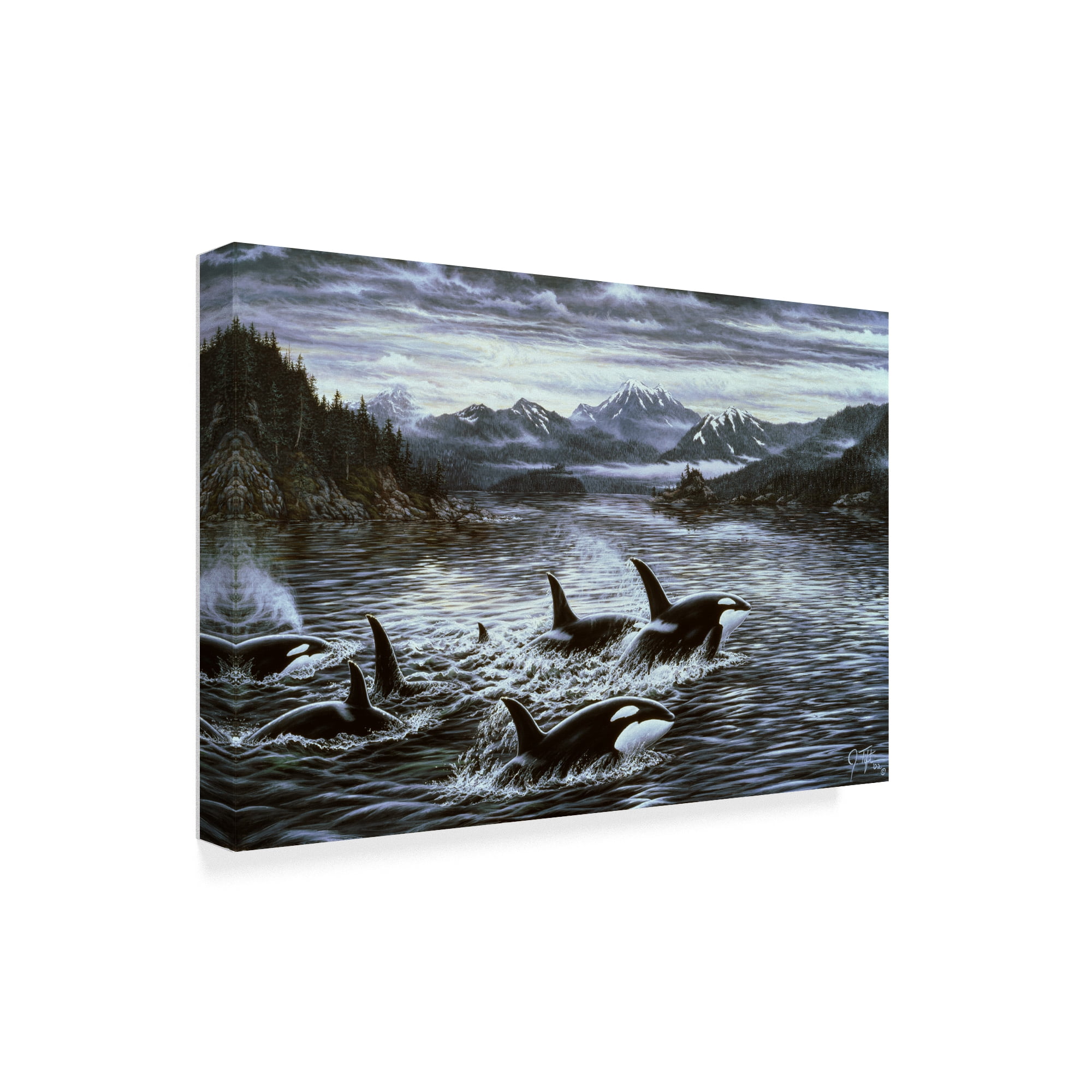 Trademark Fine Art 'Killer Whales' Canvas Art by Jeff Tift