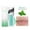 Mint, variant on HYLLai Hydrating Lip Oil with Coconut, Moisturizes and Nourishes Lips, Creates Glass Lip Effect, Travel-Friendly Bottle