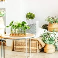 thumbnail image 3 of Plant Propagation Station, Plant Terrarium with Wooden Stand, Plant Pots for Hydroponics, Small Birthday Gardening Gifts for Women Mom Plant Lovers Unique - 5 Glass Test Tubes Vases, 3 of 5
