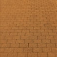 thumbnail image 1 of Ahgly Tapis de Zone Carré Transitionnel Néon Orange Lavable en Machine, 5 Pieds Carré, 1 of 7