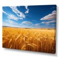 thumbnail image 2 of Designart "Down Under Amber Meadows" Farmhouse Canvas Art Print, 2 of 5