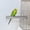 S: 9.8″ x 1″, variant on ABCISI Bird Perch, Stainless Steel Parrot Perch, Rough Surface Bird Stand for Parakeet Cockatiel Conure African Macaw Finch for Beak & Claw Trimming Grinding, Birds Cage Accessory (S: 7.8″ x 1″)