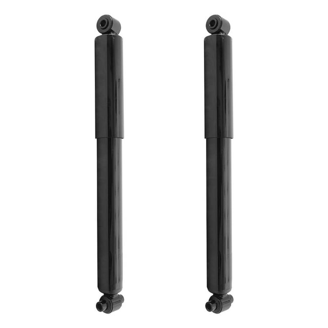 Kit de gas trasero Shock Amortiguador Unity 2-251020-001 Buick 04-07