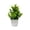 Green, variant on 1-Pack Small Fake Potted Plants, Artificial White Rose Potted Plant, Mini Faux White Flower Greenery , Decorative Fake Plant for Tabletop, Home, Office and Bathroom Indoor Decoration