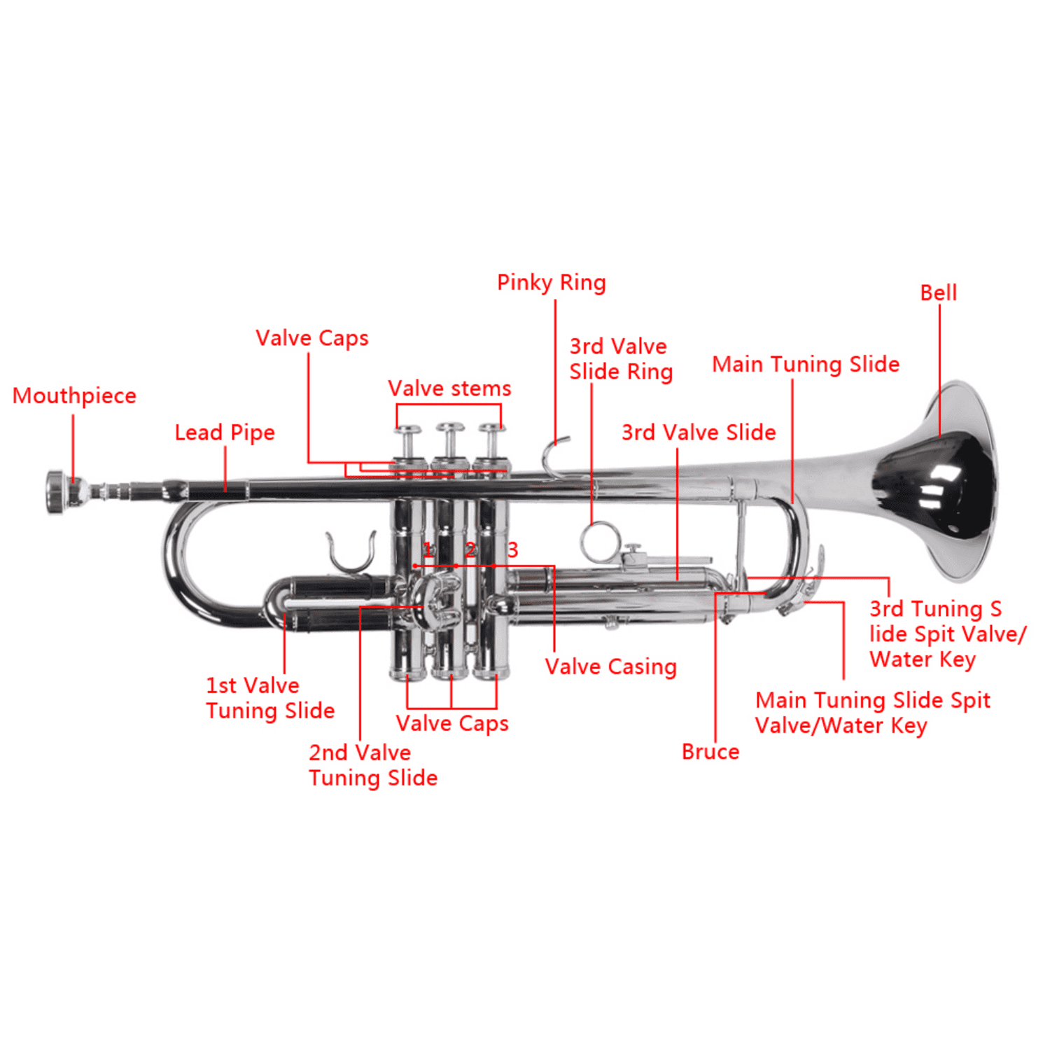 Hassch Brass Trumpet with Case, Drop B Trumpet for Beginners with Mouthpiece & Gloves, Silver