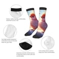 thumbnail image 3 of Honeii Heart Sky Bird Couple Print Children's Colorful Socks,Unisex Kids and Toddlers' Cushioned Sock,Kids Athletic Crew Socks,for Everyday Wear and Sports, 3 of 5
