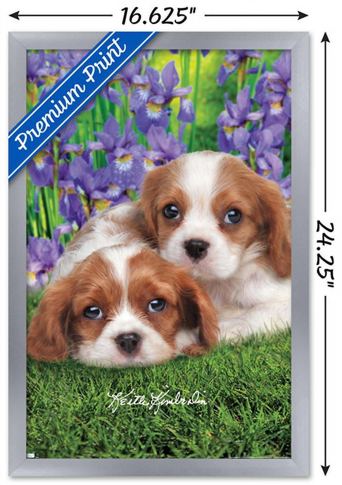 Keith Kimberlin - Cavalier King Charles Puppies Wall Poster, 14.725" x 22.375", Framed