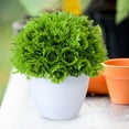 thumbnail image 4 of BKER Bonsai Desktop Decorative Arrangement With Low For Home (Green), 4 of 5