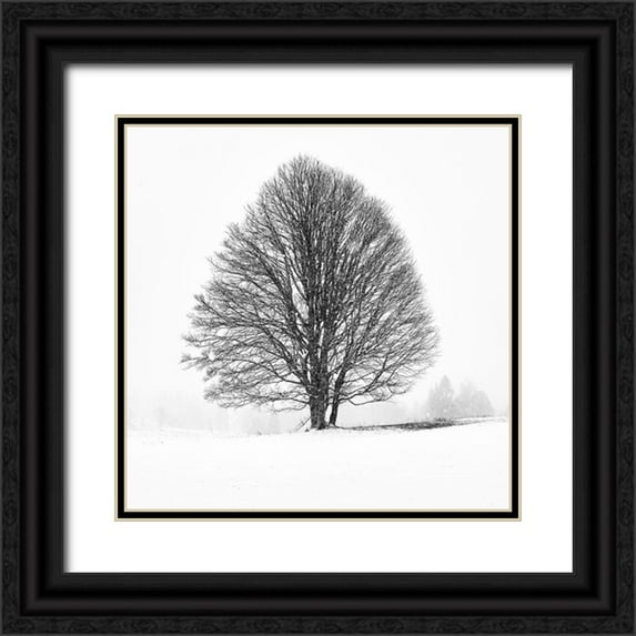 Froyda, Martin 26x26 Black Ornate Wood Framed with Double Matting Museum Art Print Titled - Lonely Tree I
