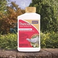 thumbnail image 3 of Bonide Thuricide Organic Insect Killer Liquid Concentrate 8 oz, 3 of 7