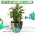 thumbnail image 4 of FIASON 2 Pack Matte Green Self Watering Plant Pots 10 Inch, Lightweight Plastic Planters with Detachable Tray, Watering Lip and Drainage Holes for Indoor Outdoor, Kitchen, Classroom and Balcony, 4 of 11