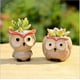 thumbnail image 2 of Maceta suculenta de cerámica con forma de búho con macetas, jardinera de Cactus, plantas, oficina, jardín, decoración del hogar (gris), 2 of 5