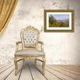 thumbnail image 3 of Paulson, Don 14x10 Gold Ornate Wood Framed with Double Matting Museum Art Print Titled - USA, North Carolina Black Mountains overlook, 3 of 4