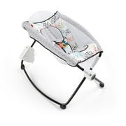 Fisher-Price Auto Rock 'n Play Sleeper with 2-Rocking Settings