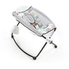 Fisher-Price Auto Rock 'n Play Sleeper with 2-Rocking Settings