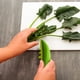thumbnail image 4 of Pelador de Hierbas Ganfancp Elimina Hojas de Verduras, 4 of 7