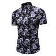 thumbnail image 1 of Chemise Hawaïenne Imprimée à Manches Courtes pour Hommes Été Nouveau Style Mode Blouse Haut, 1 of 6