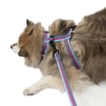 thumbnail image 2 of One Paw, 3-Pack Dog Harness and Leash Set with Poop Bag Holder, Multiple Sizes, Blue, For Dogs, 2 of 6