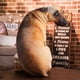 thumbnail image 2 of 20cm Shy Angry Plush Dog Animal Funny Christmas Birthday Mini Plush Dogs Toys for children Baby Gifts, 2 of 5