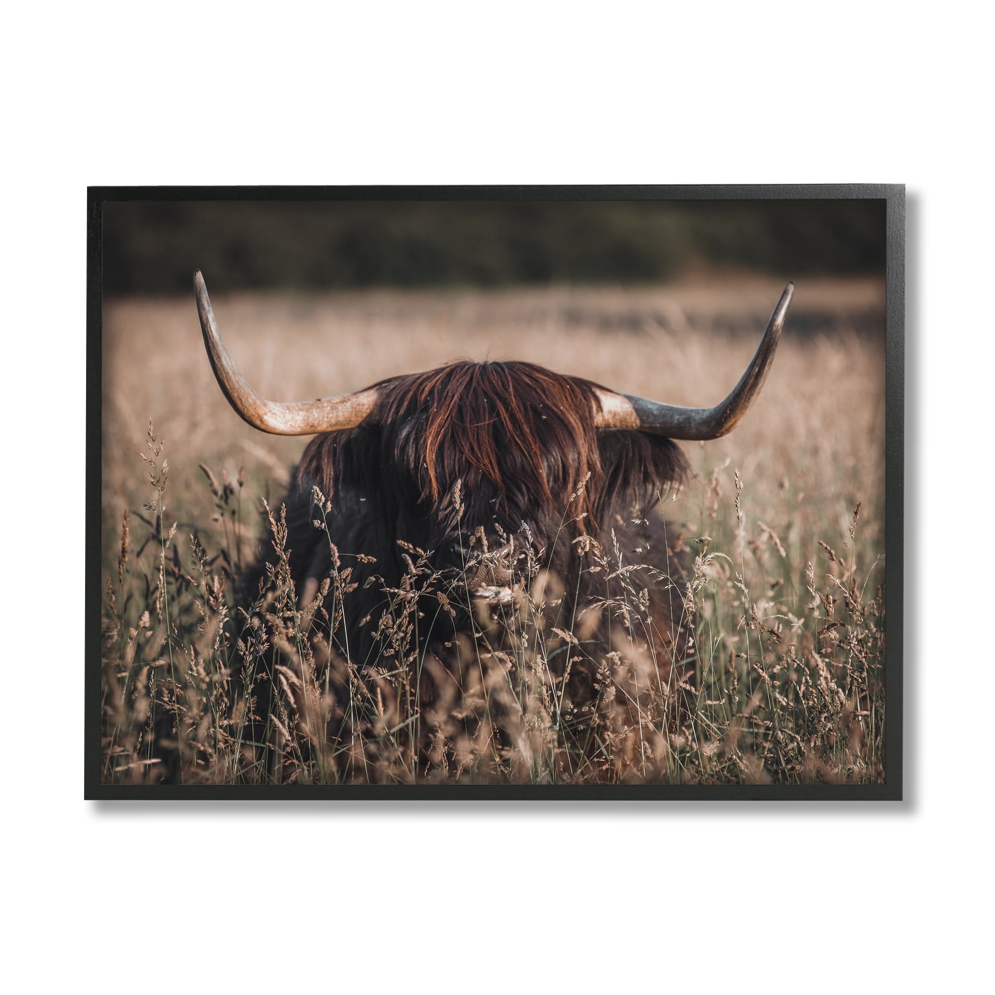 Stupell Industries Highland Cattle in Tall Grass Animals & Insects Photography Gray Framed Art Print Wall Art