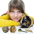 thumbnail image 4 of Sofier Rabbit Toys Bunny/ Guinea Pig Toys Natural Timothy Hay Hamster Toys for Teeth Handmade Chews, 4 of 7