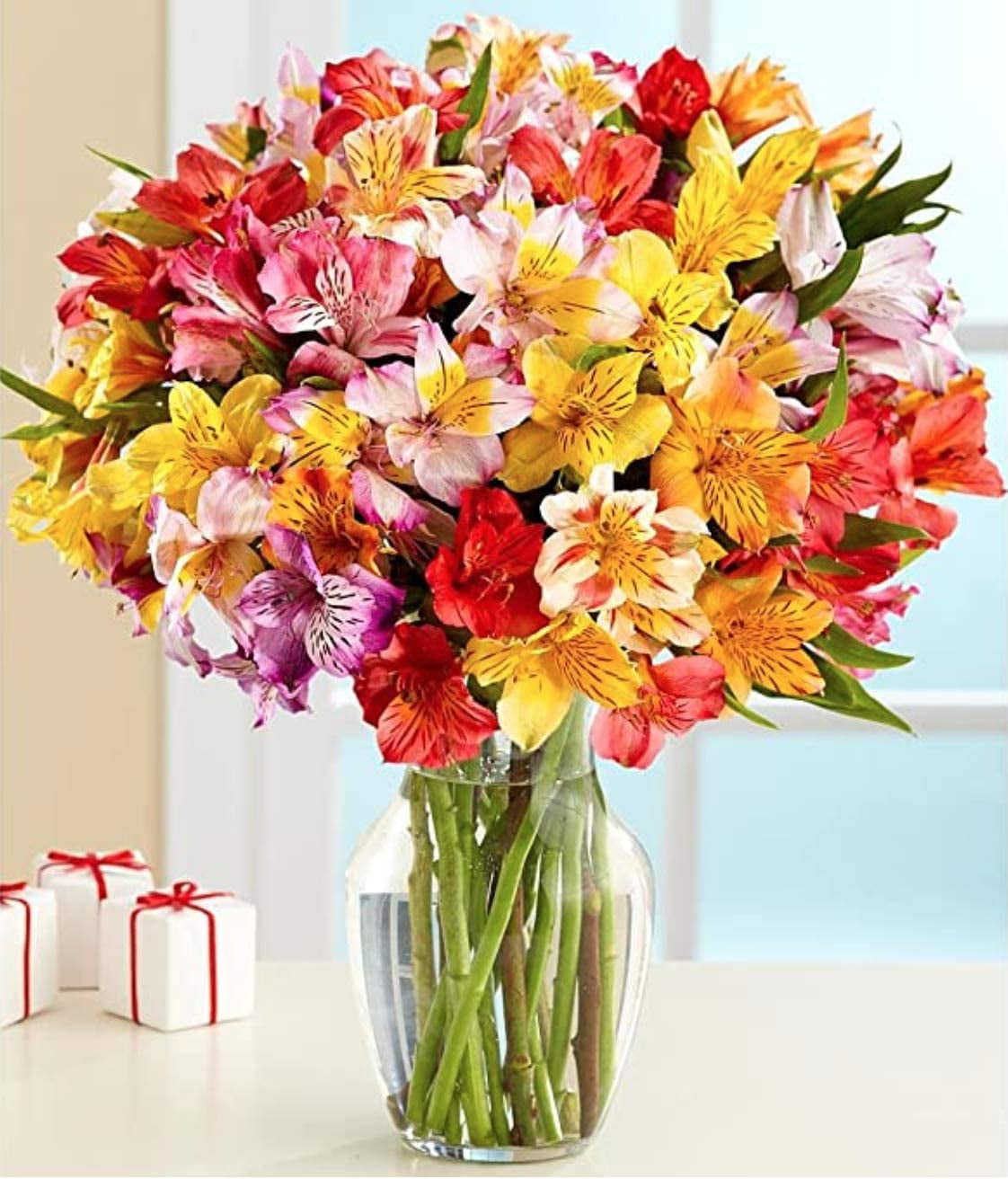 BloomsyBox: 24 Multicolored Alstroemeria Bouquet Flowers, Two Dozen ...