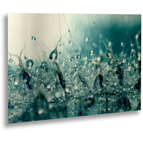 Beata Czyzowska Young 'Under the Sea' Floating Brushed Aluminum Art