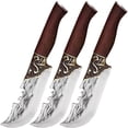 thumbnail image 1 of Cuchillo para Carne VentDepot 3 Pzas 30cm Acero inoxidable, 1 of 1