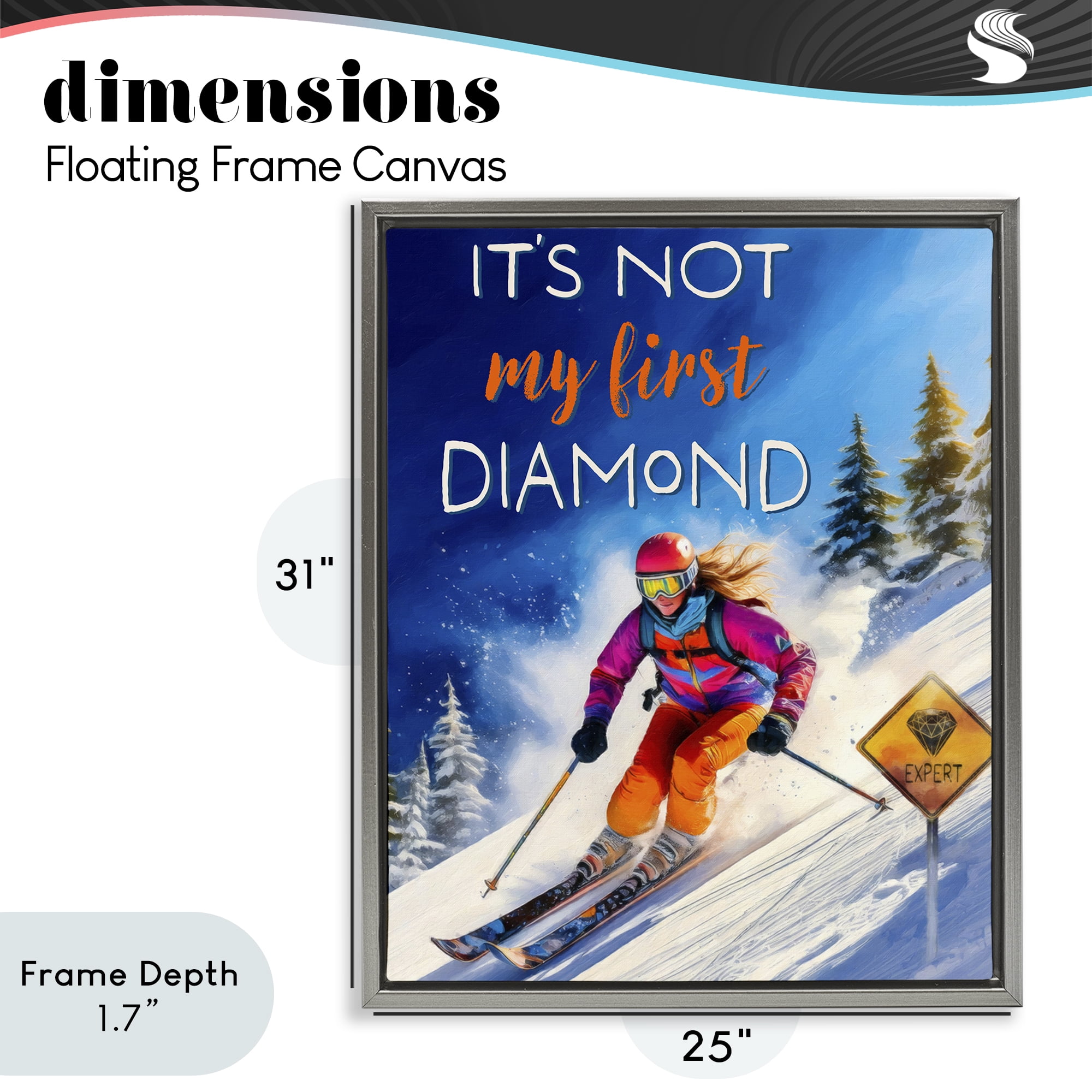 Stupell Industries Not My First Diamond Gray Framed Floater Canvas Wall Art, design by Grotto Studios