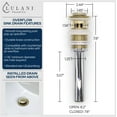thumbnail image 3 of Lulani Corsica 1-Handle Single Hole Bathroom Faucet with Drain Assembly - Champagne Gold, 3 of 7