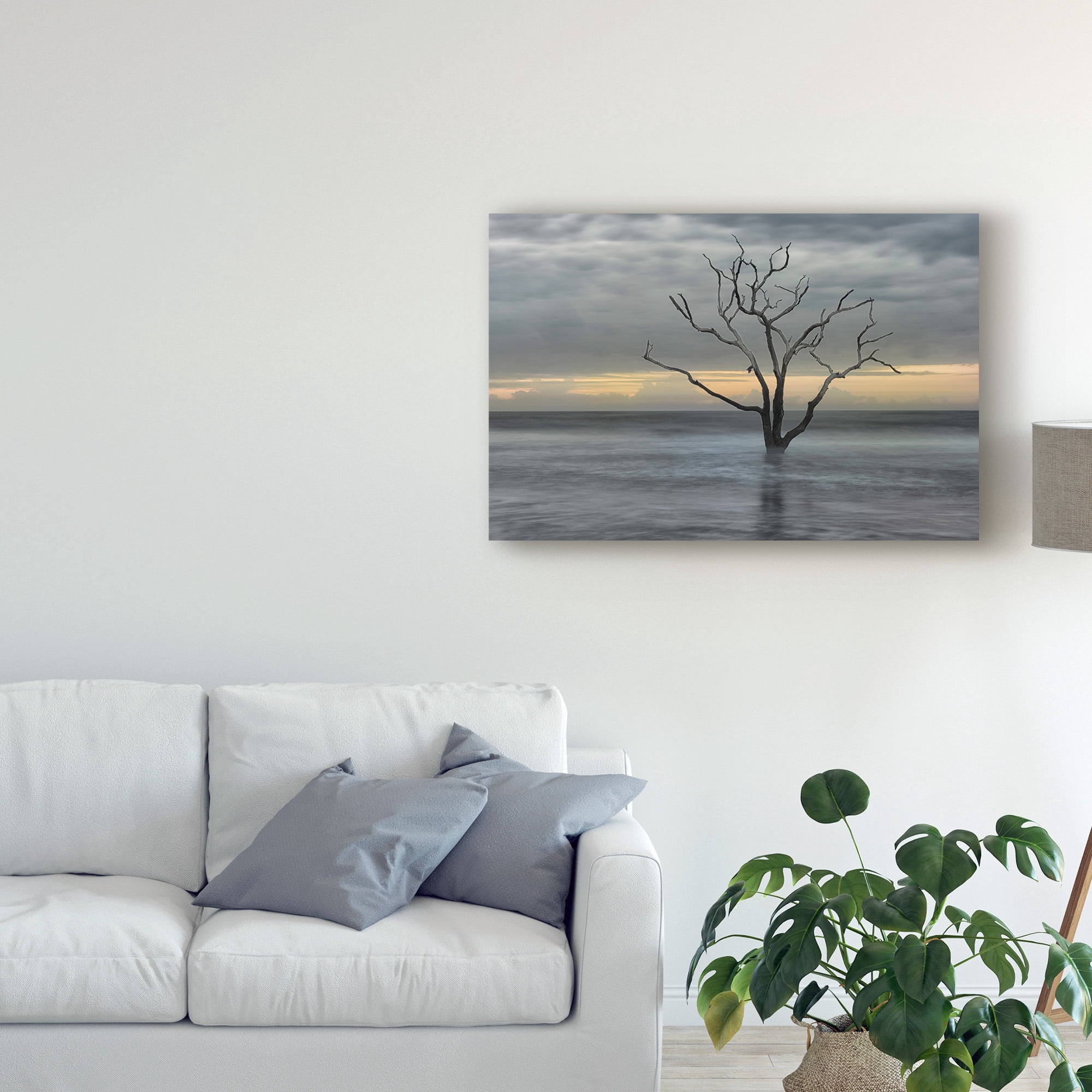 Trademark Fine Art 'Gray Skies' Canvas Art by Danny Head