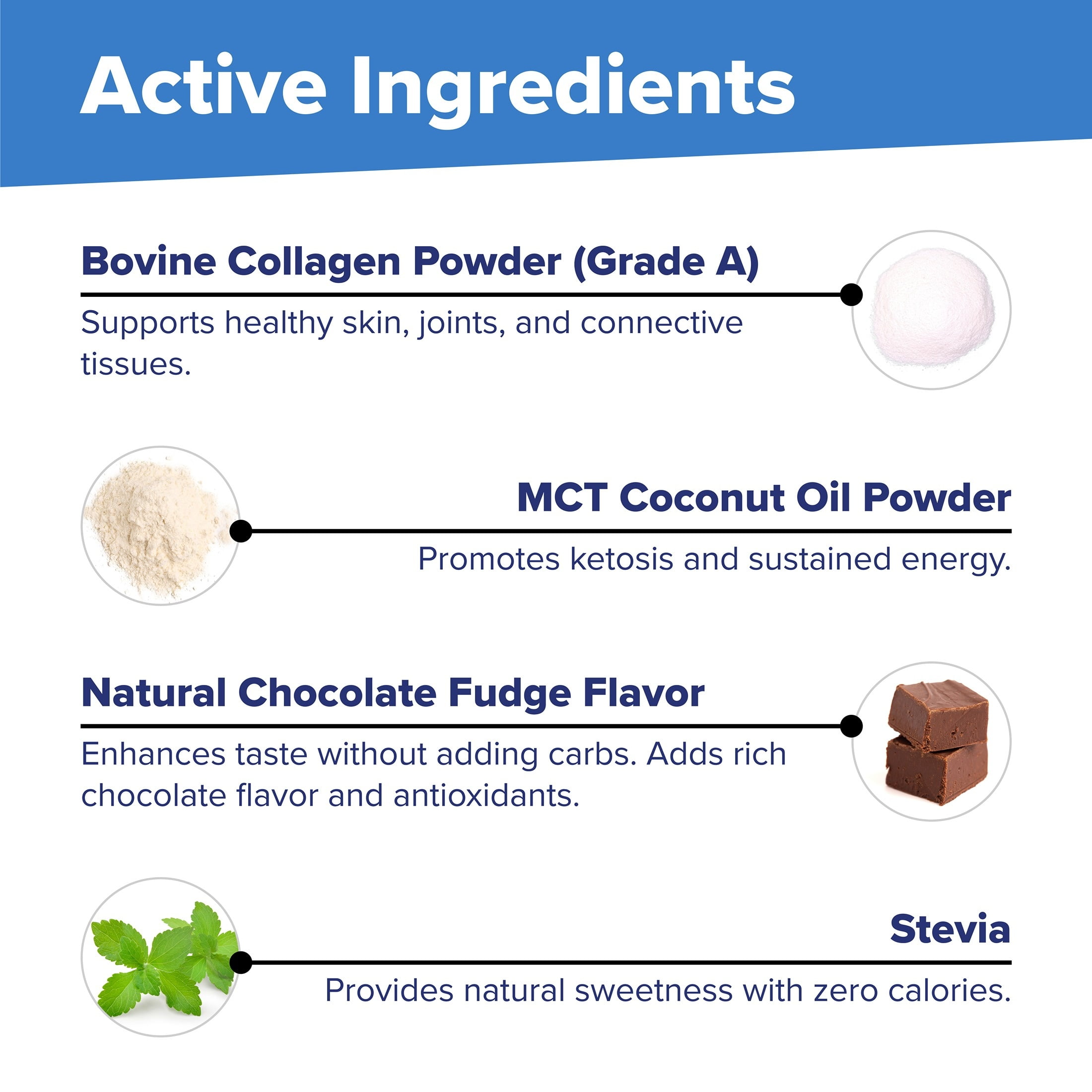 Superior Source Keto Collagen - Collagen Protein Powder with MCT Oil - Supports Hair, Skin & Nails - Dairy-Free - Chocolate, 14 oz