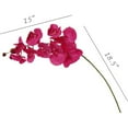 thumbnail image 2 of Artificial Orchid Stems, Real Touch Ultra Realistic Faux Decorative Phalaenopsis Flowers, Fuchsia, 33.5" Tall, 2 Pack, 2 of 3
