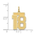 thumbnail image 2 of 14k Yellow Gold Number 18 Pendant Charm for Women or Unisex, Block Style Milestone Necklace Jewelry for Graduation or Birthday Keepsake, 2 of 4