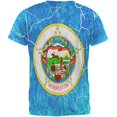 thumbnail image 2 of Minnesota Vintage Distressed State Flag All Over Mens T Shirt Multi MD, 2 of 2