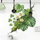 thumbnail image 4 of Plantas tropicales verdes pegatinas para el salón y la entrada, pared rota con hojas de tortuga en forma de tortuga en la parte trasera decoración del hogar, 4 of 5
